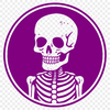 Skeleton Drawing In PNG & SVG - Free Digital Download