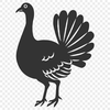 Beautiful Turkey - Cricut PDF