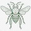 Unique Bee Illustration - Free PDF Download