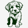 Free Sitting Havanese Clipart