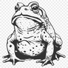 Beautiful Toad Digital Artwork