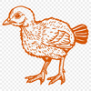 Domesticated Bird SVG Vector Design An SVG vector design of a domesticated bird commonly associated with Christmas celebrations.