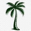 Beautiful Palm Tree Image - Free PDF