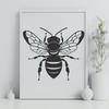 Free Bee Clipart - Free DXF