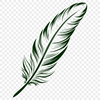 Elegant Feather Clipart Design A high-resolution clipart design of a single feather with clean lines.