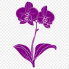 Creative Flower Drawing - Free PNG Download