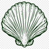 Free Creative Seashell - Free PNG Download, Commercial Use