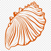 Artistic Seashell PNGs - Free Download