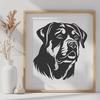 Beautiful Rottweiler - Animal SVG