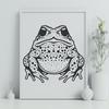 Free Toad - Animal PNG