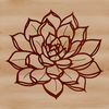 An ornamental succulent design suitable for digital gardening graphics and print-on-demand projects.