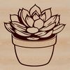 An ornamental succulent design suitable for gardening and floral arrangements.