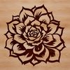 Fleshy Foliage Clip Art Succulent plant with thick fleshy leaves in a desert landscape setting.