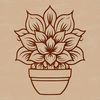 A detailed illustration of a desert succulent plant with thick, fleshy leaves.