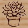 Floral Design Element - Succulent A succulent plant with thick, fleshy leaves and stems, suitable for vector graphics and design projects.