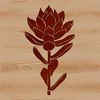 A stylized illustration of a desert succulent plant in a vector format.
