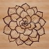 A simple line drawing of a succulent plant in a graphic format suitable for digital use.
