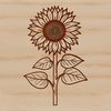 A single sunflower with large bright yellow petals and dark center, grown in a garden or field setting.