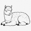 Sleeping South American Camelid Graphic A detailed illustration of a sleeping alpaca, suitable for vector design and commercial or personal projects.