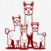 Andean Fiber Artist Inspiration A South American camelid animal with a thick coat and long neck, used in textile production.
