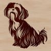 A seated Shih Tzu breed dog illustration in vector format.