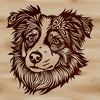Elegant Australian Shepherd Breed Illustration Australian Shepherd dog breed illustration in high detail.