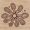 A detailed illustration of various types of bacteria, suitable for vector art and clipart.