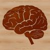High-resolution vector graphic of a brain for educational or design purposes.