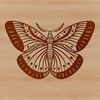 Colorful butterfly with intricate details, suitable for vector design and cutting machine projects.