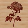 Beautiful Chrysanthemum Flower Art A detailed illustration of a chrysanthemum flower with petals and center detail.