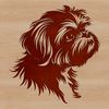 Stylish Shih Tzu Portrait A stylized illustration of a Shih Tzu's head with vector lines.