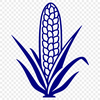 A detailed illustration of a corn kernel in vector format.