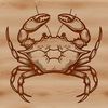 Wild Crab Vector Illustration A detailed illustration of a wild animal, a crab, in a vector format.