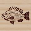 White Crappie Silhouette An SVG representation of a white crappie, a freshwater game fish species.
