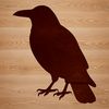 A close-up illustration of a Crow's distinctive black plumage.