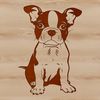 An SVG graphic representation of a domesticated Boston Terrier animal in a relaxed seated position.