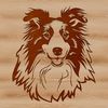 Beautiful Canine Companion Vector Art A Shetland sheepdog with a distinctive head shape, commonly kept as a pet.