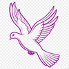 Beautiful White Bird in Flight A simple white dove with outstretched wings, suitable for vector design projects.