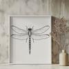 Iridescent Dragonfly Vector Illustration An illustration of a dragonfly with iridescent wings and long slender body.