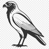 Free Vector Bird Illustration in Flight A detailed illustration of a bird of prey in mid-flight, with sharp talons and a strong beak.