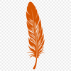A detailed, high-quality illustration of a single feather, suitable for vector art designs.