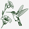 Beautiful Hummingbird Graphic Illustration Illustration of a hummingbird with vibrant plumage against a subtle background.