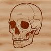 A stylized illustration of a skull with intricate details, suitable for Halloween decorations or tattoo designs.