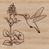 Colorful Bird in Flight Over Blooms A colorful hummingbird in flight above a bed of vibrant floral blooms.