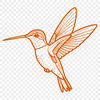 A colorful hummingbird in flight, illustrated in a detailed vector design.