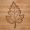 A naturalistic representation of a single leaf in SVG design.