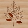 Creative Leaf Design Template A simple illustration of a leaf with veins, suitable for vector design in Illustrator or Procreate.