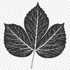 Intricate Single Leaf Vector Graphic A high-quality vector illustration of a single green leaf with intricate details.