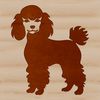 Cute Poodle Illustration A stylized illustration of a standing poodle in vector format.