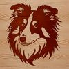 A breed-specific illustration of a Shetland Sheepdog's head, suitable as clip art for various applications.